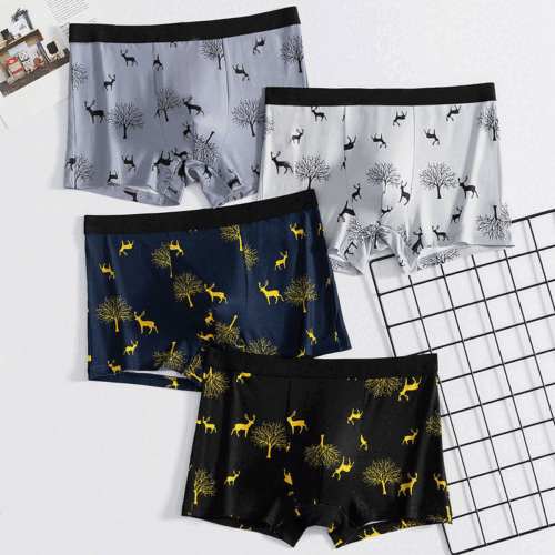 SET 4 QUẦN LÓT BOXER TTT269-9