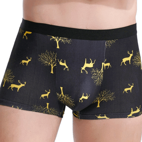 SET 4 QUẦN LÓT BOXER TTT269-9