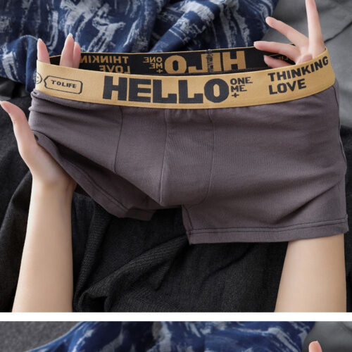 QUẦN LÓT BOXER TTT268P