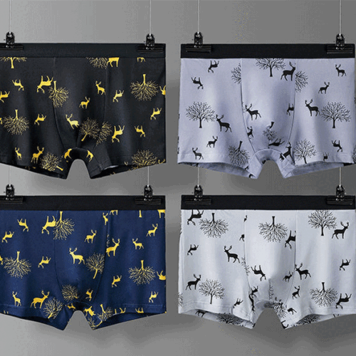SET 4 QUẦN LÓT BOXER TTT269-9
