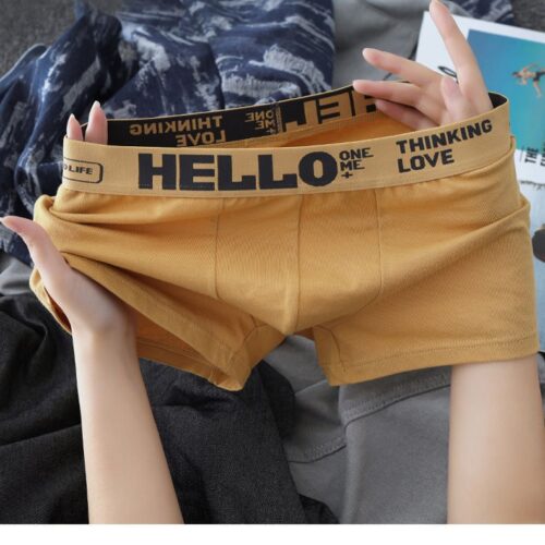 QUẦN LÓT BOXER TTT268P