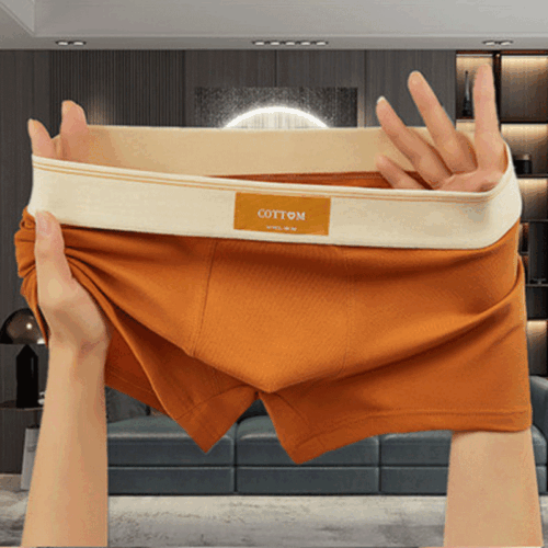 QUẦN LÓT BOXER TTT274X