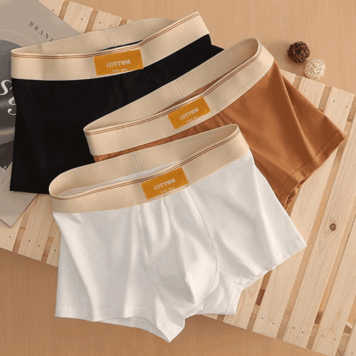 QUẦN LÓT BOXER TTT274X