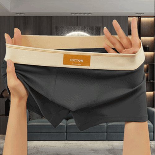 QUẦN LÓT BOXER TTT274X